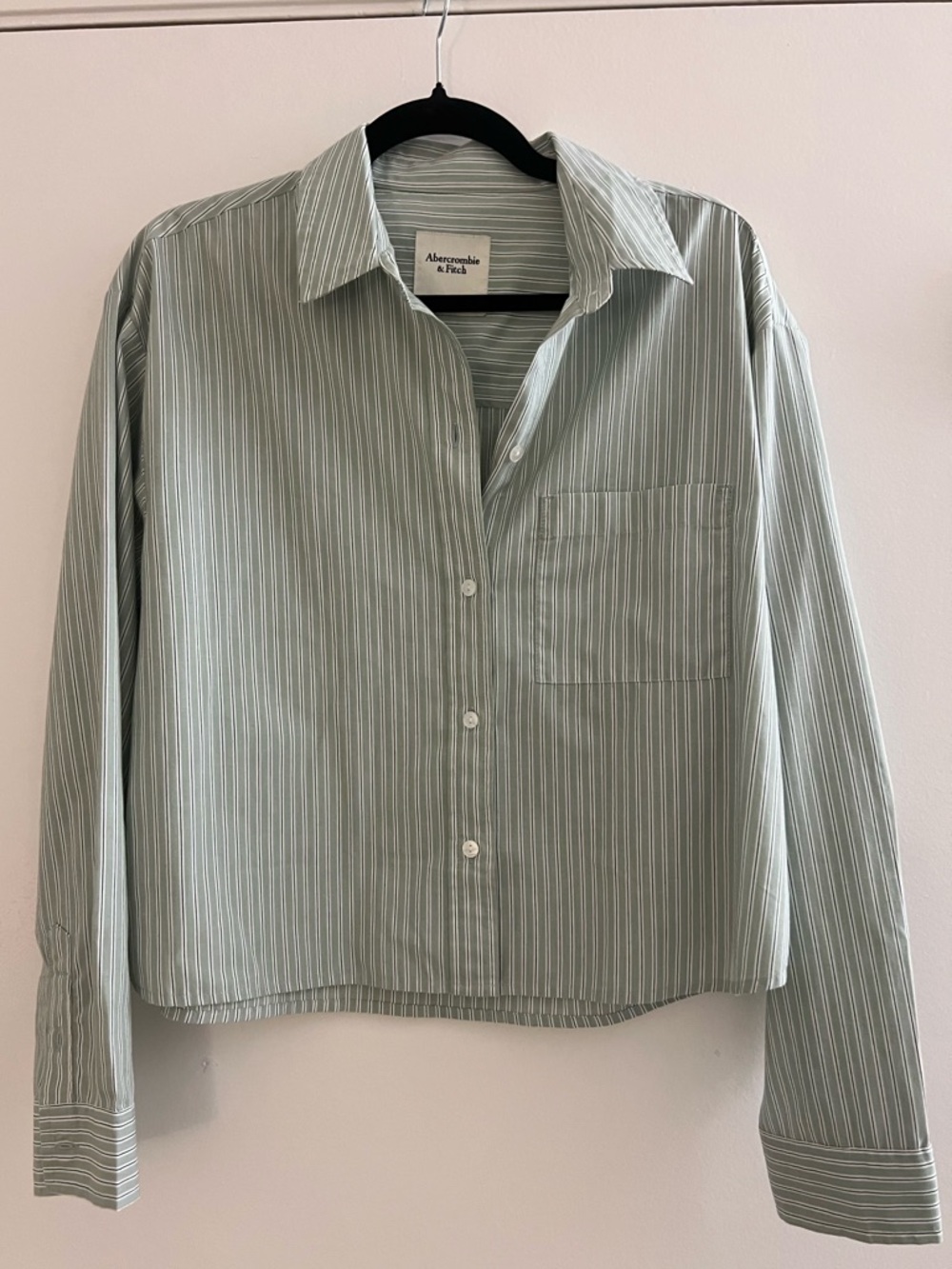 Abercrombie & Fitch Light Green and White Striped Casual Button-Down